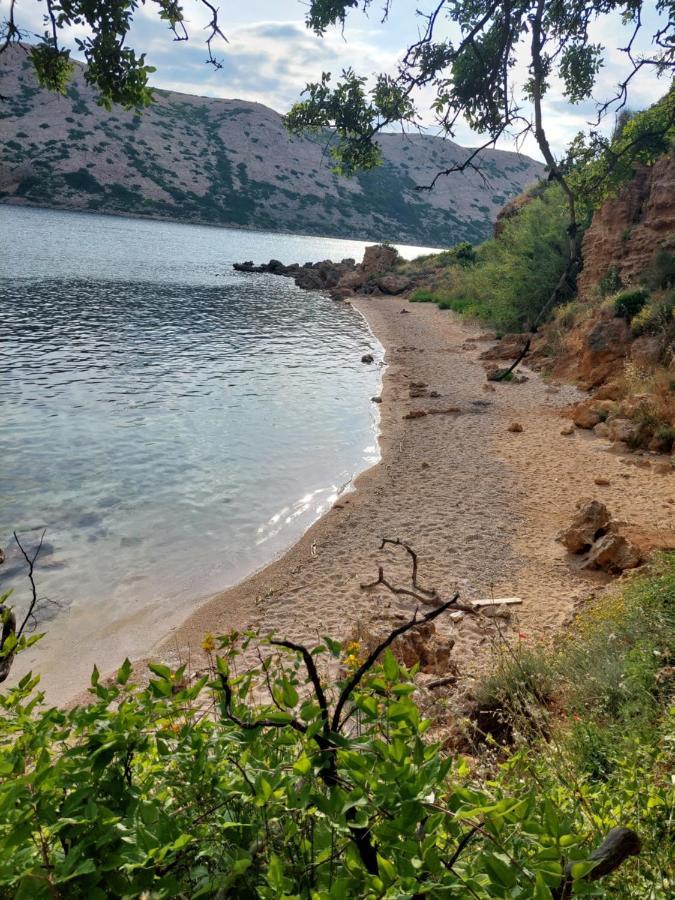 Apartments Maricic Rab Island Palit Dış mekan fotoğraf